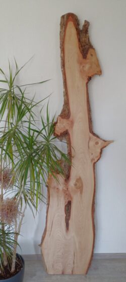 (VERKAUFT)