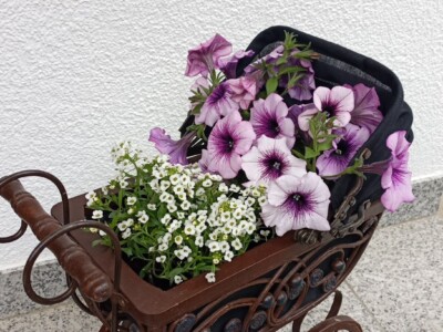 39 €