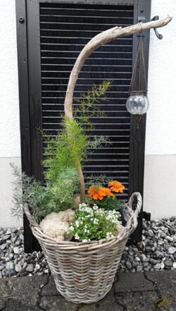 39 €