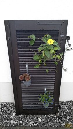 39 €