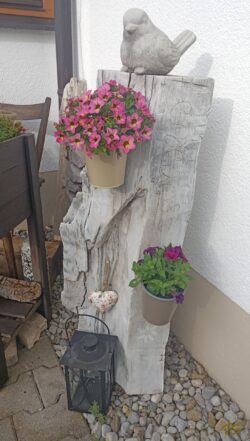 49 €