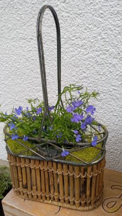 19 €