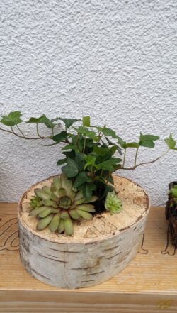 16 €